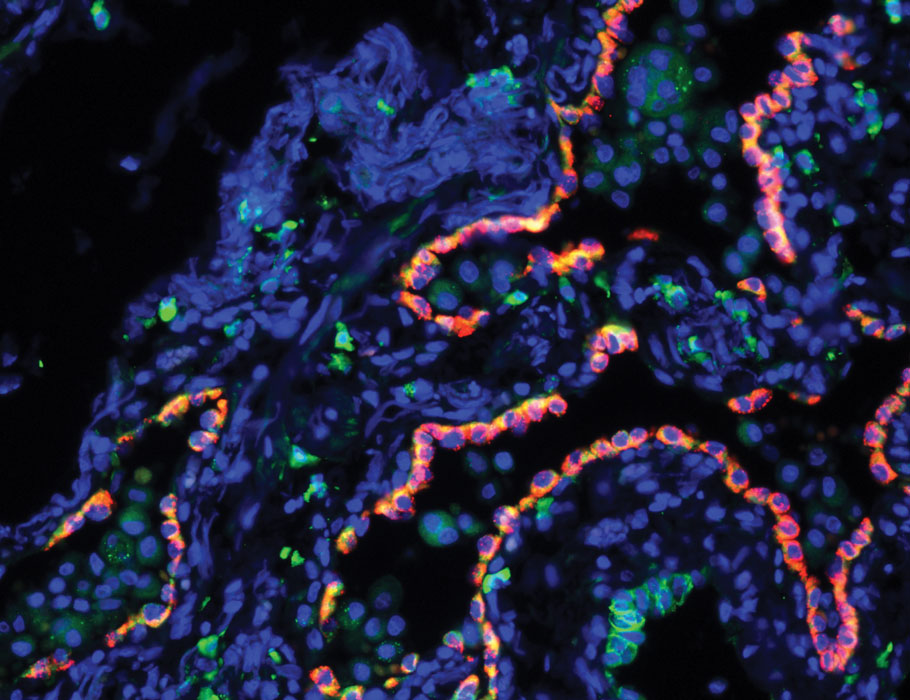 ScienceTM tweet picture