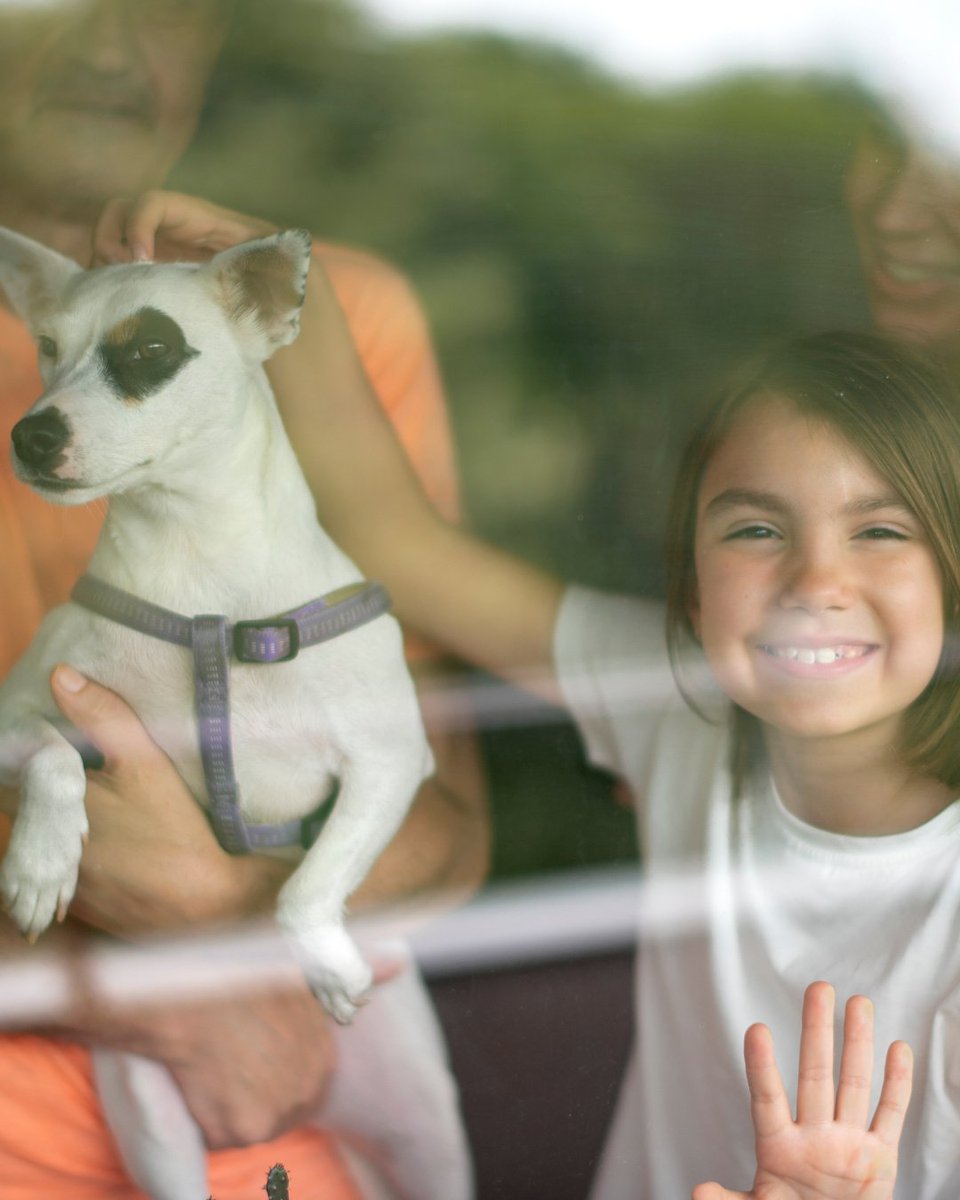 clearchoice_win's tweet photo. “A house is made with walls and beams. A home is made with love and dreams.” – Unknown
Give us a ring to learn more about the products we carry and to schedule a free, no-obligation estimate - 727-232-9571
#QuoteoftheDay #HomeProtection #ImpactWindows #MondayMotivation https://t.co/6aPrhih6LF