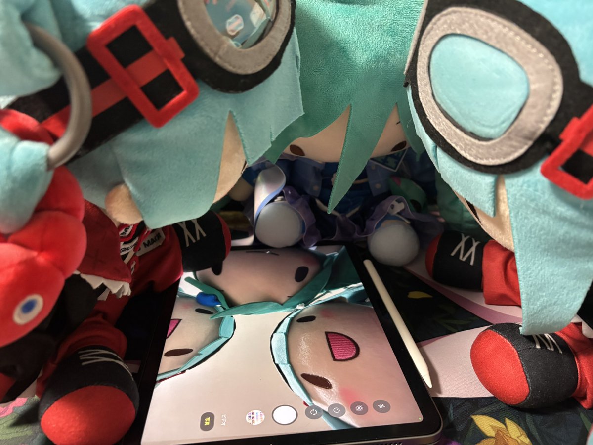 らとぉ⋆͛📢 tweet media