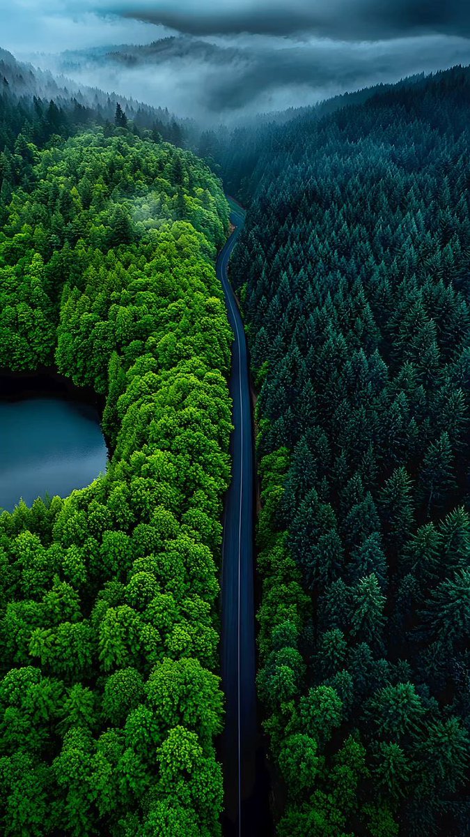 LeoJosephE's tweet photo. Sometimes, the best path is the one that leads nowhere so you can find yourself.

#PerfectlyImperfect #CardtonicDesignChallenge
#DesignIsChanging

@cardtonic https://t.co/4R1bCq26HL