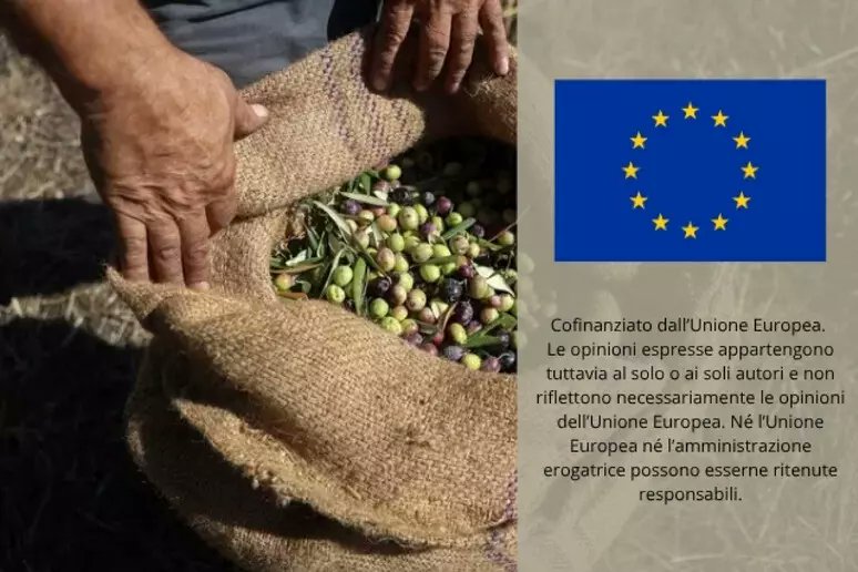 ansaeuropa's tweet photo. Ue al G7 #Agricoltura: "No a restrizioni ingiustificate all'export di fertilizzanti".
Il commissario Hansen @CHansenEU : "Mantenere il commercio aperto e prevedibile"
#IMCAP #CapGen #ANSA @EUAgri
Scopri di più 👇
https://t.co/LLqkdG6H4c https://t.co/Q17FTB82Gk