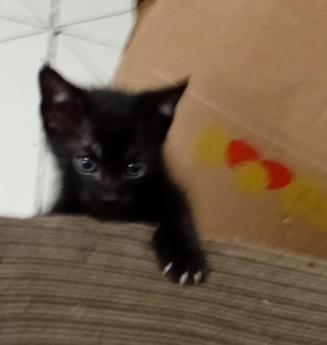MoonStark7's tweet photo. nada fotogênico https://t.co/F1g1p3KXAU