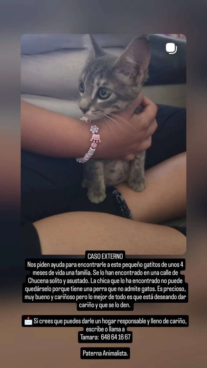 CesPaterna's tweet photo. Nos piden ayuda para difundir. ¿Ayudamos a este pequeñín? https://t.co/32k11hPDPS