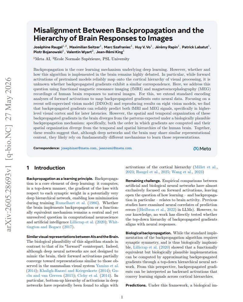 che_shr_cat's tweet photo. 1/
AI and human brains form remarkably similar internal representations when looking at images. But their learning algorithms are fundamentally mismatched. 

New neuroimaging research shows the brain's learning signals completely lack the sequential, top-down cascade of backpropagation. 🧵