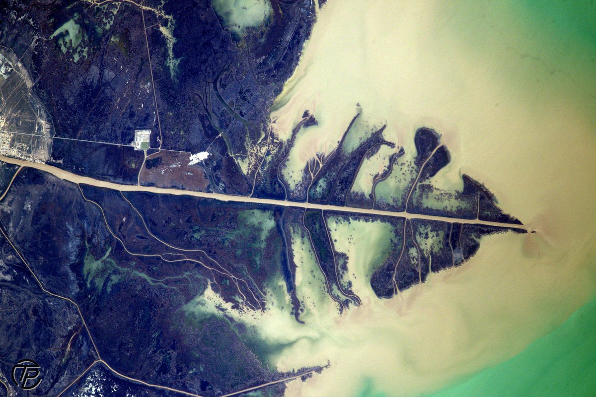 Thom_astro's tweet photo. [English below] 🖼️ on rattrape le #WallpaperWednesday de la semaine dernière  avec deux images issues des archives de mes missions, toutes les deux au format paysage 💻🖼️.

🍃 Version 1 : l’embouchure du fleuve Oural, qui se déverse dans la mer Caspienne au Kazakhstan, ressemble étrangement aux nervures d’une feuille d’arbre.
🏔️ Version 2 : le printemps à l’assaut des hauteurs au sud-ouest de la Chine, avec ce lac coloré niché dans les reliefs de l’Himalaya.

Pour une fois, pas de retouches de l'excellent @dpc313, car ce sont des photos de ma première mission... et je n'ai jamais eu le temps de revenir dessus et les retravailler... peut-être que j'en ferai un livre un jour ? 😇

Les légendes originales, et plus d’informations, dans les liens Flickr de ces images dans le post LinkedIn. 

/

🖼️ A special #WallpaperMonday this week, skipped last week for a pretty amazing reason (new space mission unlocked) with two landscape-format images from mission archives 💻🖼️.

🍃 Version 1: The Ural River delta flowing into the Caspian Sea in Kazakhstan looks remarkably like the veins of a tree leaf.

🏔️ Version 2: Spring reaching the high-altitude regions of south-western China, with this colourful lake nestled among the Himalayan mountains.

#ISS #Photography #Wallpaper

Tree leaf ©ESA/NASA–T. Pesquet
China ©ESA/NASA–T. Pesquet @esa @ESA_fr @nasa @Space_Station