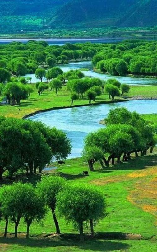 Nature tweet media
