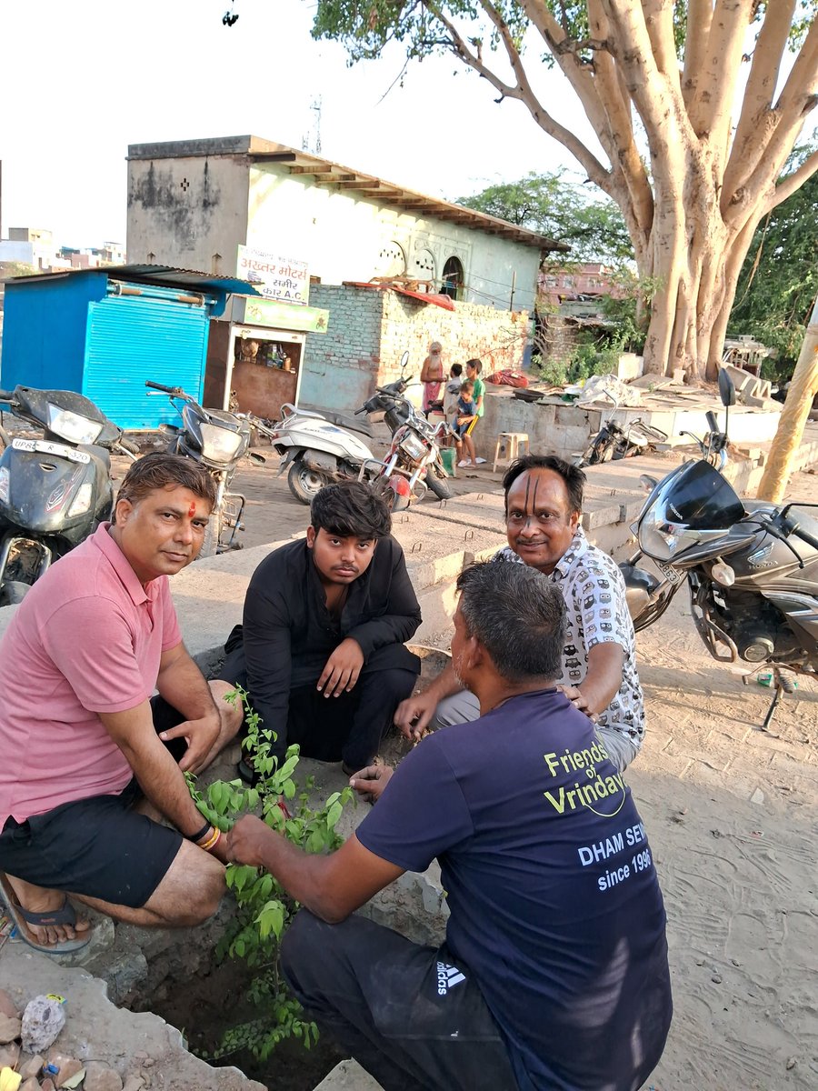 FVrindavan's tweet photo. A Tamal sapling was planted to celebrate the birthday of Shri Sambhav Sharma in the presence of his father, Shri Ravi Sharma. Though we generally avoid plantation during the peak summer heat, this special occasion called for a meaningful gift to nature.  #TamalTree #GreenBraj https://t.co/8eO7xFyTxz