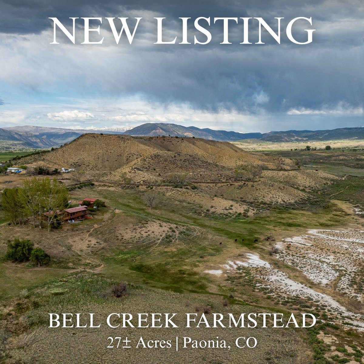 M4RanchGroup's tweet photo. NEW LISTING! 

The year-round flow of Bell Creek, irrigated hay fields, and a producing apple orchard set the tone for this hobby ranch, complemented by a 4-bedroom home, equestrian setup, and views of Lamborn and Lands End Peaks.

Contact us for more information 
970.944.4444 https://t.co/IRC5bT85Ja