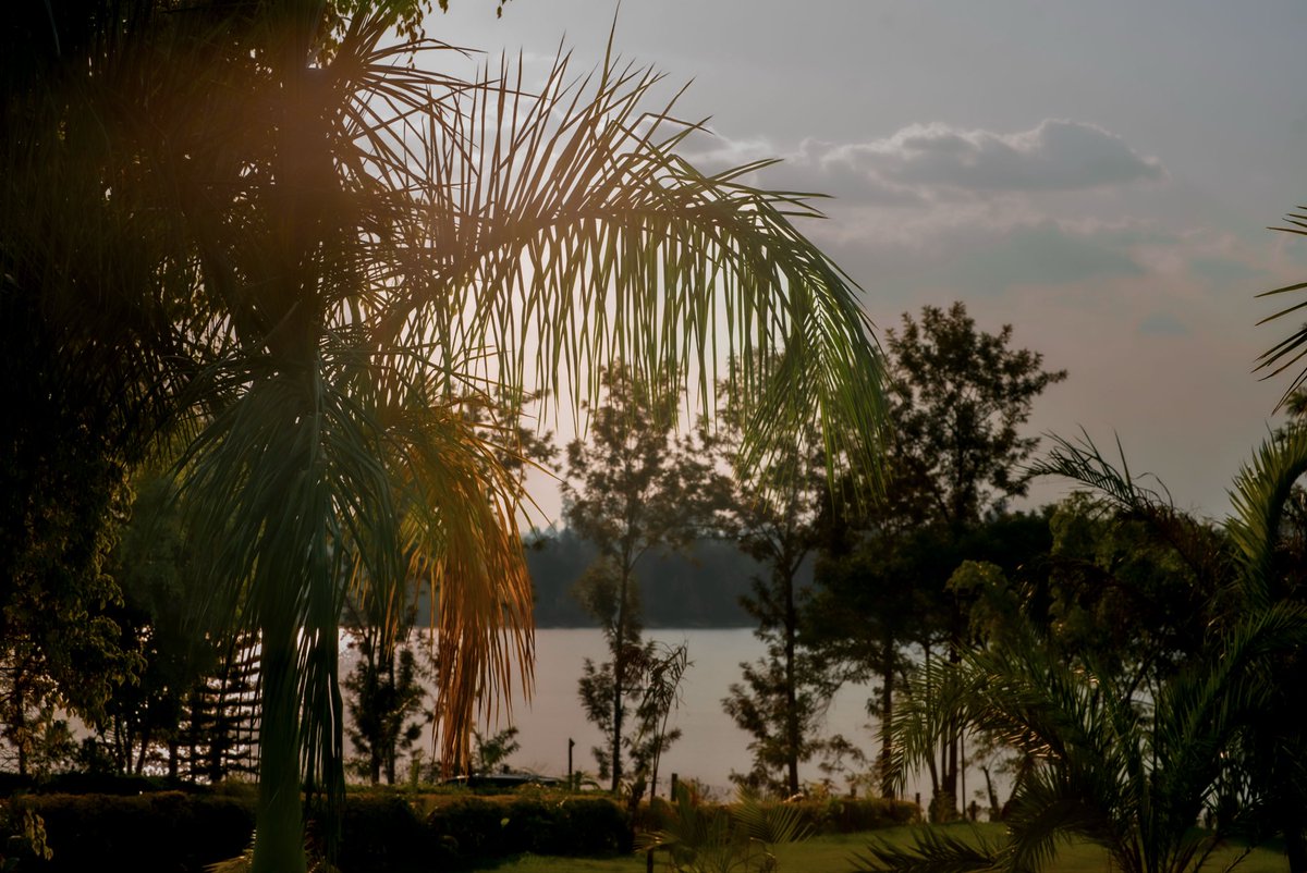 bugeseralake's tweet photo. Where nature meets comfort at Bugesera Lake Resort aperfect escape for unforgettable moments by the lake.

#BugeseraLakeResort #LakeViewVibes #RwandaTourism #NatureEscape RelaxAndUnwind VisitRwanda LuxuryGetaway SereneViews HospitalityExperience WeekendVibe https://t.co/6cJED5Toxx