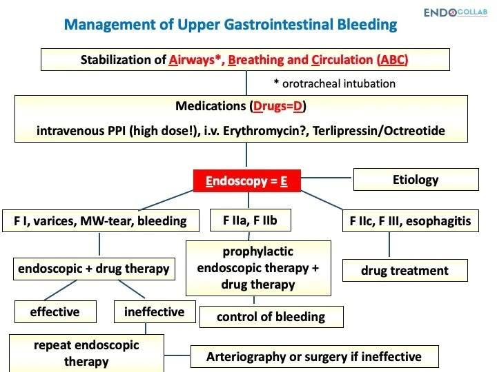 EndoCollabcom's tweet photo. Management of Upper Gastrointestinal Bleeding https://t.co/WQrLIa7Hqc