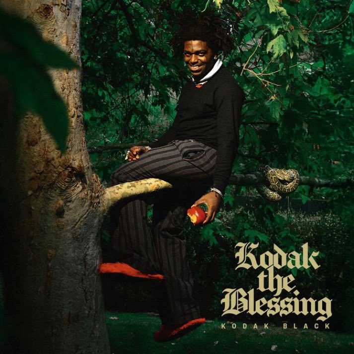 XXL's tweet photo. 🗣️KODAK BLACK

💽 KODAK THE BLESSING
(ALBUM)

🚨JUNE 12 https://t.co/cYbhDG959Z