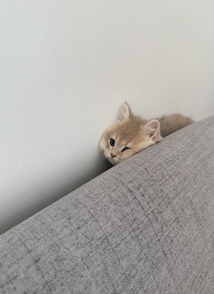 twaniimals's tweet photo. https://t.co/Cw7nqnOuDR