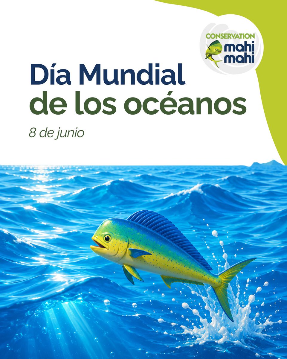 ConsMahiMahi's tweet photo. 🌊💙 En este #DíaMundialDeLosOcéanos reafirmamos nuestro compromiso con la conservación del dorado y la sostenibilidad de nuestros océanos. 🐟🌎

Desde #ConservationMahiMahi trabajamos por un futuro donde pesca y conservación avancen juntas.

#WorldOceansDay #MahiMahi #Dorado https://t.co/KzUTbvYQea
