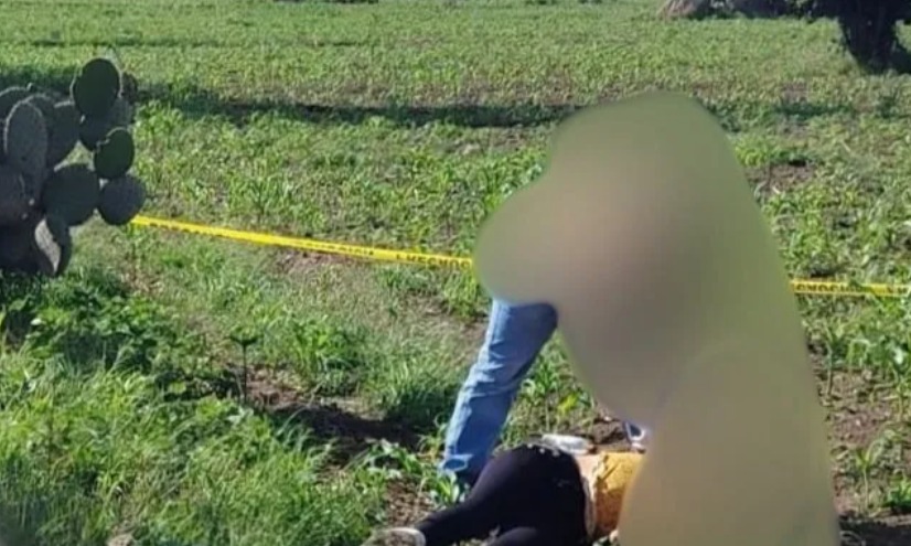 PueblaDiario's tweet photo. Hallan a mujer sin vida y con signos de violencia en #Tlachichuca

Una mujer sin vida y con visibles signos de violencia fue localizada en un camino rural que comunica las comunidades de Río Valiente y Tepetitlán en el municipio de Tlachichuca. https://t.co/vtWiTTbyZU