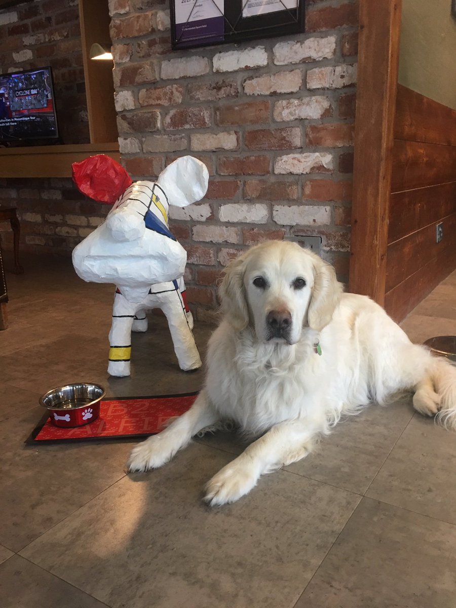 B2Hotel's tweet photo. #NationalBestFriendDay we thought we would let Alfie share some photos of his best friends...

Pet friendly rooms https://t.co/NgJ3x9TAXg

#dogfriendlyhotel #dogsoffacebook #londonhotel @bespokehotels https://t.co/tUTrs0d5z6