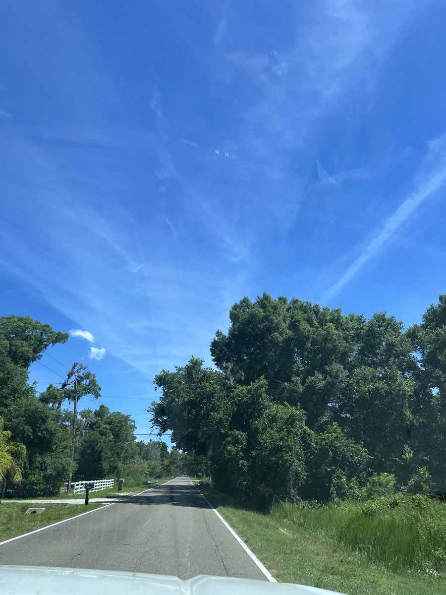 Harleychikadee's tweet photo. @FLDEPNews @GovRonDeSantis @AGJamesUthmeier Florida is being decimated by @POTUS administration as Trump has given the military and NGOs complete control over weather GEOENGINEERING. We are in the middle of summer and not a drop of rain in the @CityofTampa or surrounding counties https://t.co/8Ce0DBiDjE