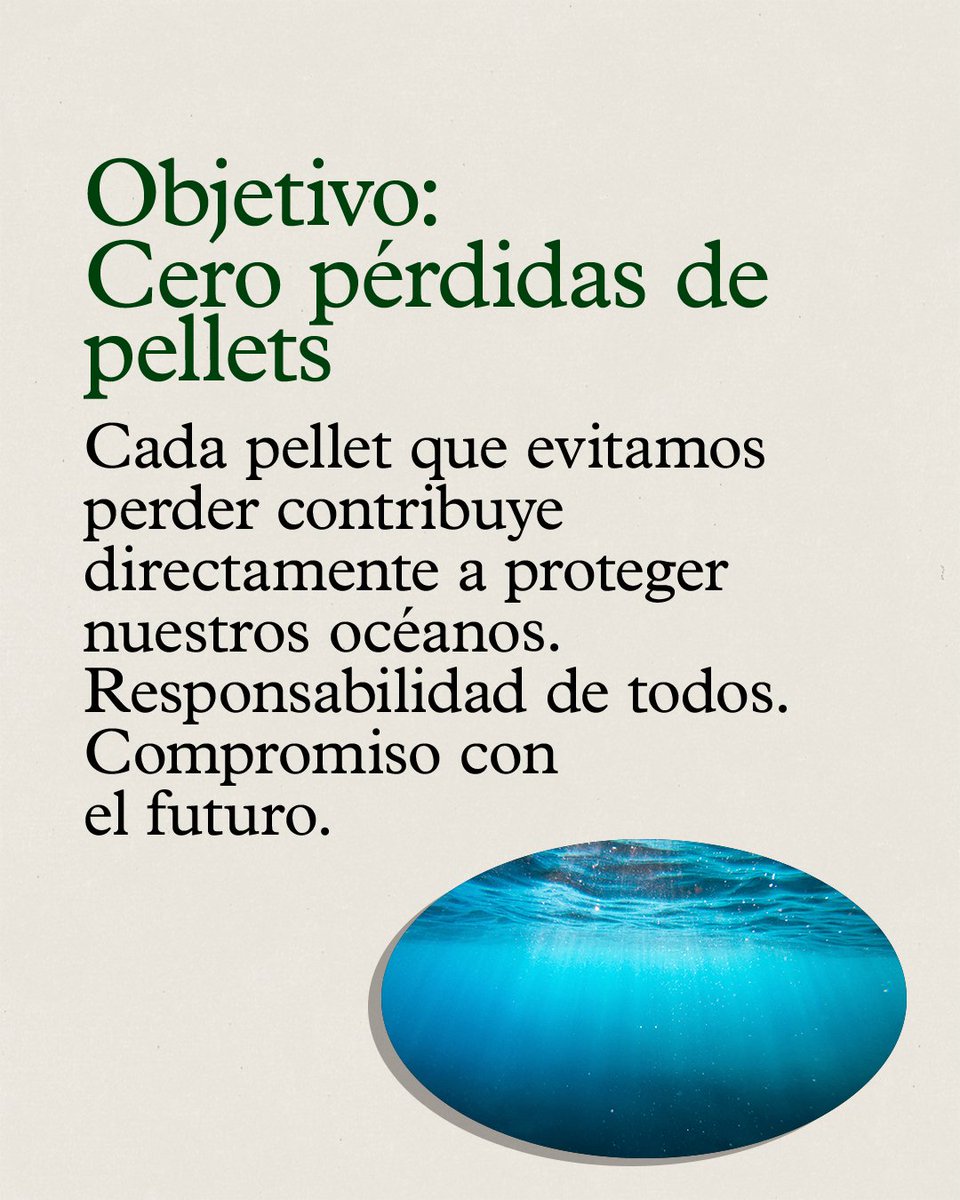 ANAIP_es's tweet photo. https://t.co/n8PsY0k4VN