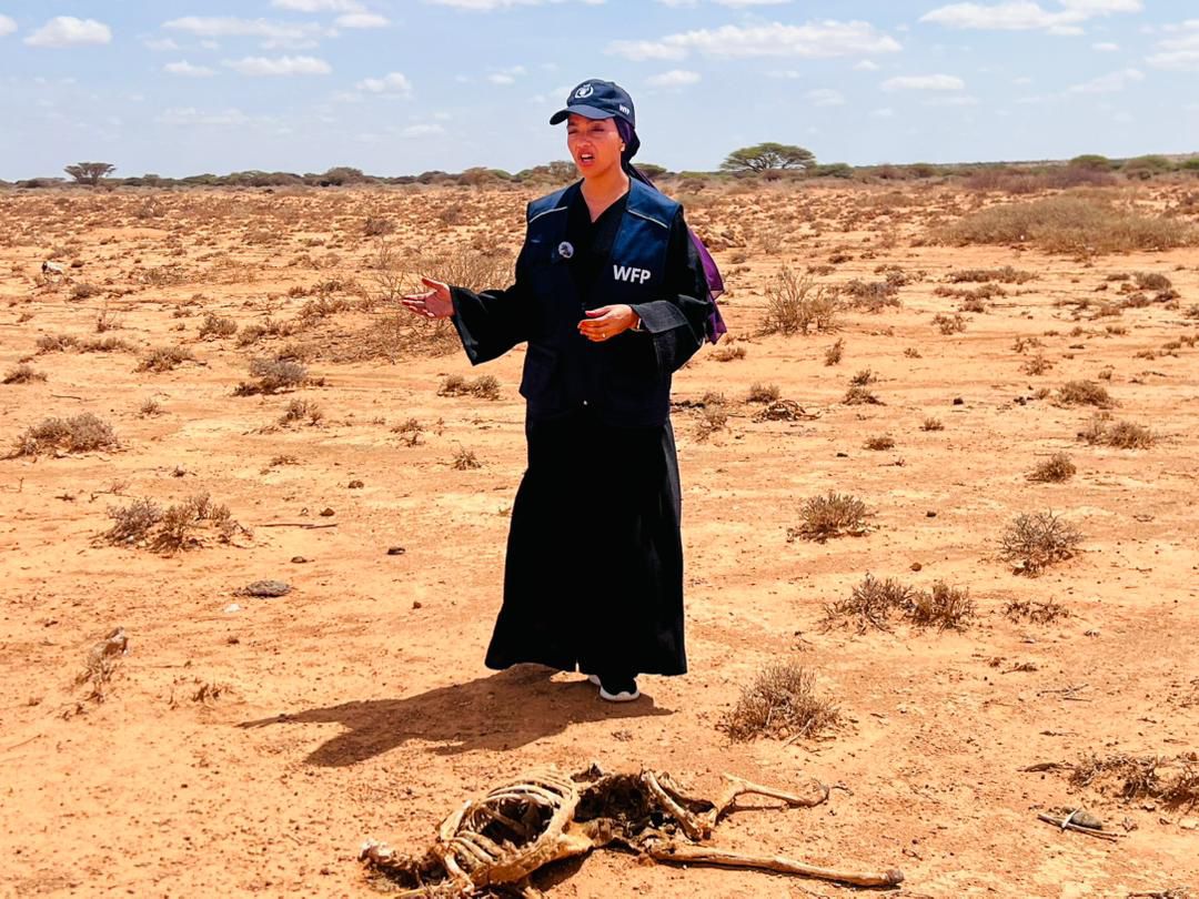 BailletRaynatou's tweet photo. In Puntland today, one of the areas hardest hit by drought, I am hearing firsthand how deeply communities are affected—water is scarce, livestock are dying, and families are struggling to cope. The pressure is mounting. Urgent humanitarian support is needed now. https://t.co/Cw3lsC0ScG