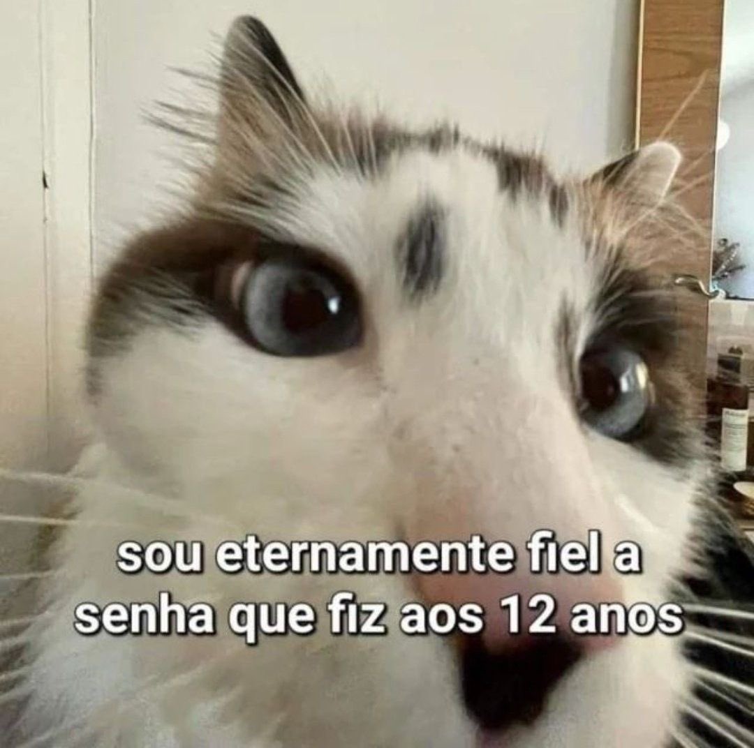 shitpostverdade's tweet photo. https://t.co/BzgoDqe6gl