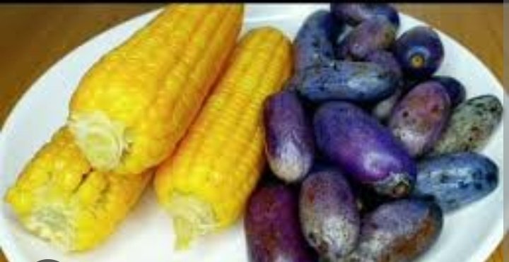 IsumaF's tweet photo. Which is the best food to eat under this weather?? 

This                              That https://t.co/8mq2It97GO
