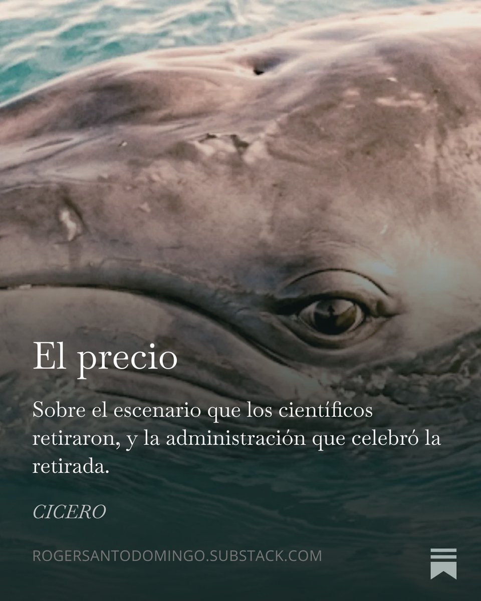 CiceroByRoger's tweet photo. Hoy es el Día Mundial de los Océanos.
Hoy también EE.UU. desmantela los instrumentos que medían cuánto carbono absorbe el mar, y Noruega sube la cuota de caza de ballenas.
Celebrar el océano es fácil. Dejar de saquearlo es lo difícil.
El precio 🔗 https://t.co/MUpInIuRkB https://t.co/kKRhKsLVnd