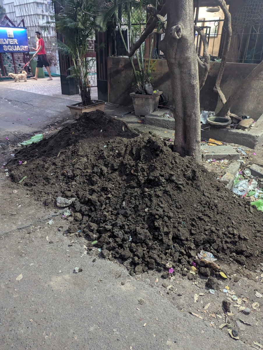 TMS190's tweet photo. Silt removed from SWD outside Silver Square CHS Sunder Nagar Kalina Santacruz East. Can the Municipal Commissioner Ashwini Bhide tell us the deadline when this will be cleared.@mybmcSWM @mybmc @joytrichur @fpjindia @RosySequeiraTOI @richapintoi @abhijeet_dipke @MelwynF55275571 https://t.co/zYy2ERluPw