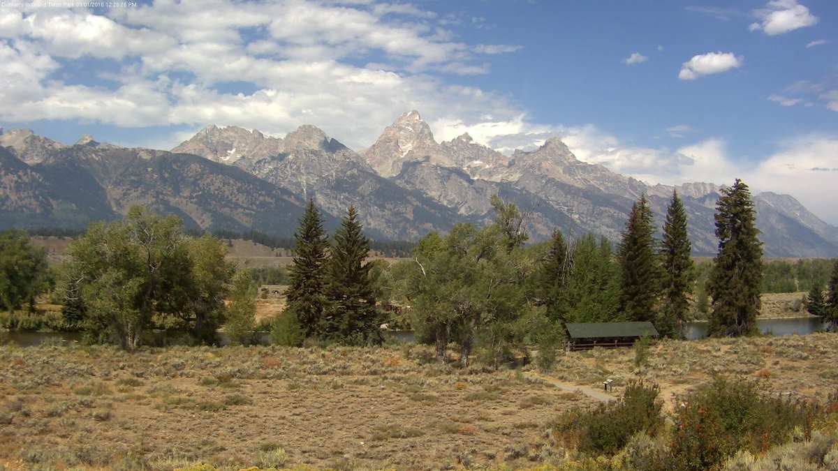 seejacksonhole's tweet photo. Unlock the beauty of Jackson Hole with https://t.co/RwOTqr1zlq! Whether you’re dreaming of ski-in/ski-out resorts in Teton Village or private wildlife tours in Grand Teton, we've got you covered. Did you know that booking early can give you the best options? https://t.co/NbphrciDlS