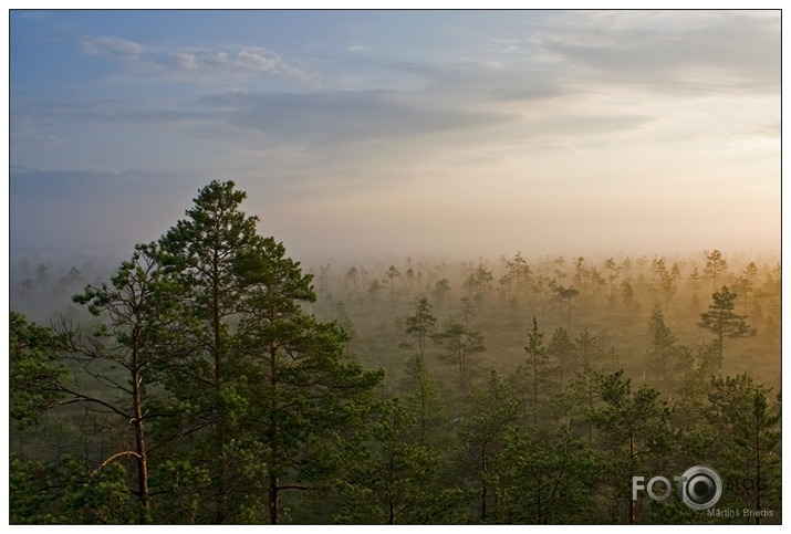 NormundaProfils's tweet photo. Pazīsti Latvijas fotomāksliniekus/Meet Latvian artists of photography: Briedis. #fotogrāfija #photography www: https://t.co/C6wisW4MCS https://t.co/I5m4Hzh8Z1