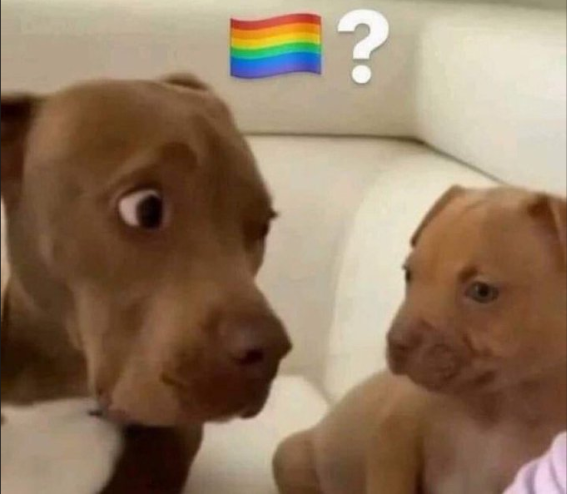 wally_bdo's tweet photo. @PpollingNumbers I don't know why my gaydar is going insane https://t.co/J6g2vANOul