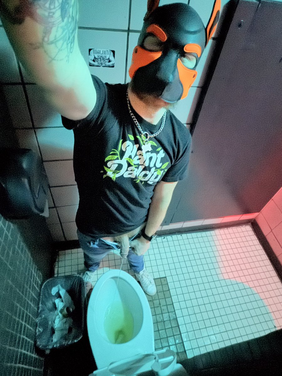 18mjm95's tweet photo. Let’s try this again, shall we?? I’m back, baby! From human to 🥁 pup reveal! 🐶 https://t.co/Dv5uAfC06K