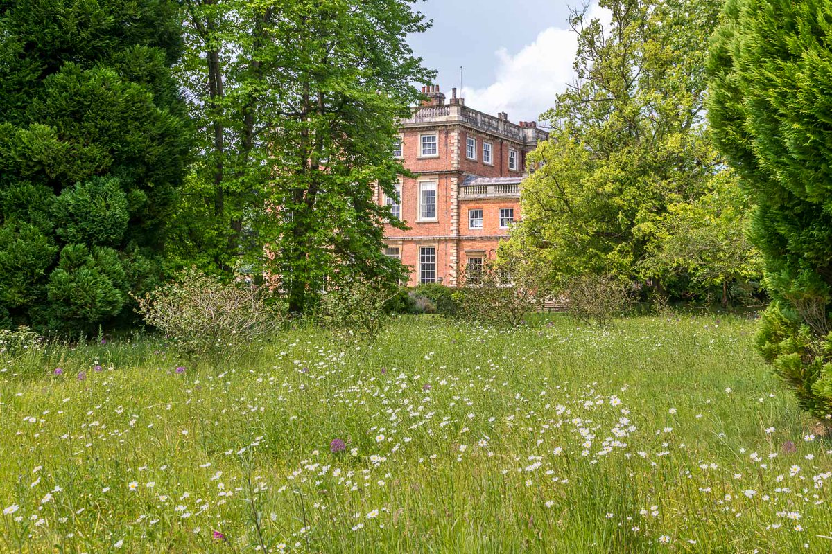 andrewswalks's tweet photo. Wildflower meadows in 4 of England's great gardens: @GreatDixter , @SissinghurstNT, @NewbyHallGarden and @SLGardens https://t.co/3cuU6UzURc