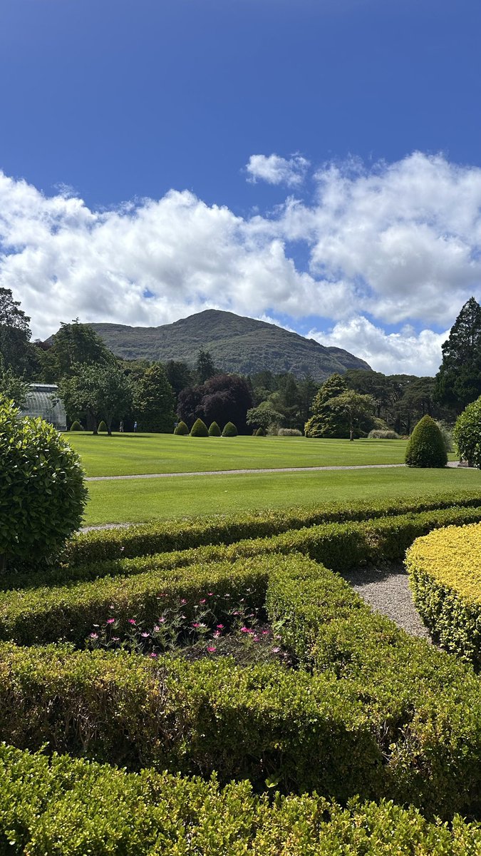 hfalkan's tweet photo. Highlights from my afternoon run at Killarney! What a view to shake off the jetlag before #KSTumorMetab26 https://t.co/RWo1V4Hbre