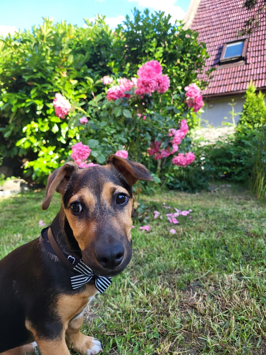 zusiax's tweet photo. Z Lou przeszło do Lulusia https://t.co/5K2JdyQbLl