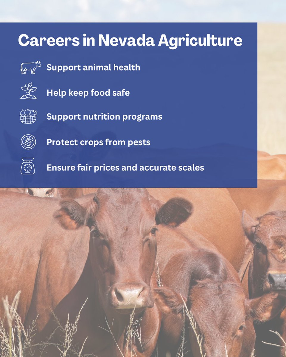 NVAgriculture's tweet photo. Agriculture goes far beyond farms &amp; ranches. At the NDA, employees also protect food safety, support nutrition programs, prevent pests &amp; ensure fair markets.
CTE programs help students build skills for agriculture, preparing the next generation of Nevada’s workforce.
@NvstateED https://t.co/6opuTOWypU