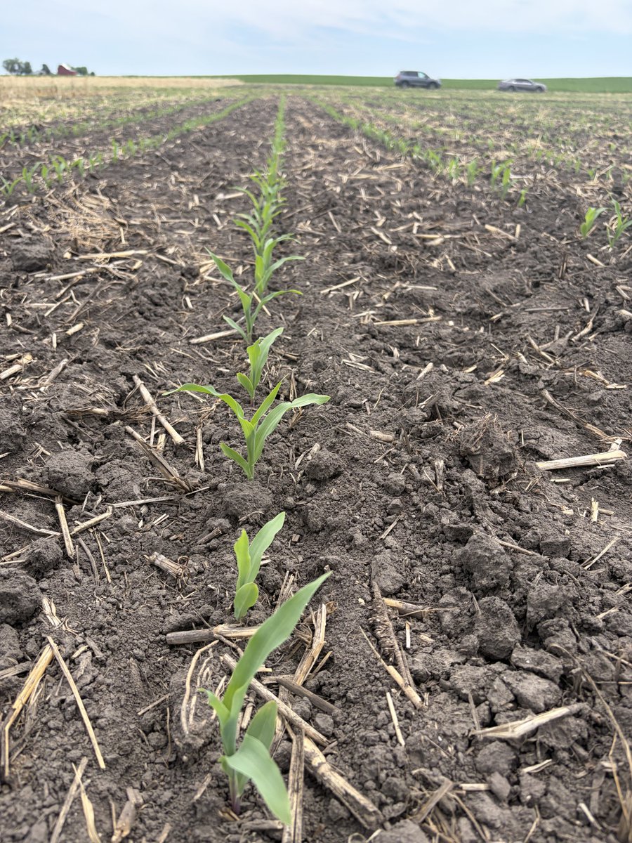 FieldAdvisor tweet picture