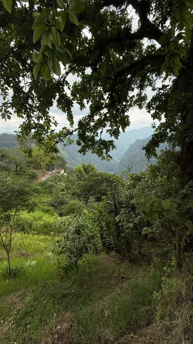 lreri's tweet photo. Qué bonito fin de semana. 🌿☁️ https://t.co/j03r0YUQzo