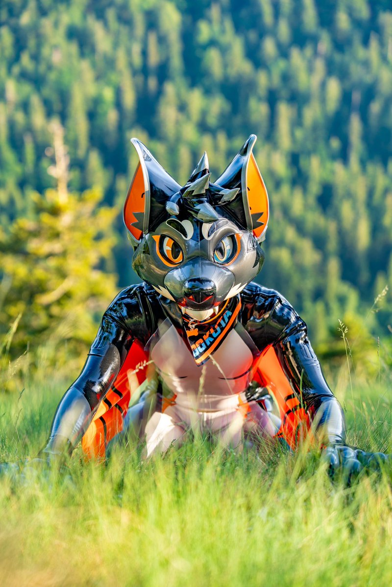 Dokuta_Woof's tweet photo. Between earth and sky, between silence and adventure.

Not every step feels meaningful when you're taking it, but every path reveals its purpose once you look back from the summit.
Keep going. The view is often better than you imagined.

📷 Tihmouse
#rubber #latex #rubberfur #latexfur #kariwanz