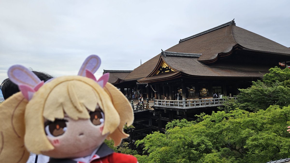 Nicea_25's tweet photo. 数日前、ヨシミちゃんと清水寺に行った時、えいっ?! 木のお玉で水を汲んで飲むロマンはどこに行ったの?!

 と思ってしまった https://t.co/PsIhVN2Luz