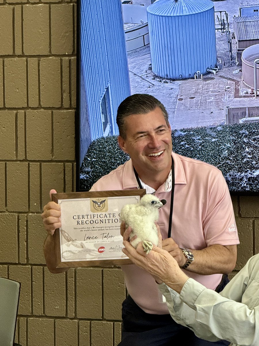 lanceallan's tweet photo. Big thanks to @we_energies today.  I got to meet “Lance Talon” today.  The peregrine falcon is more handsome and squawks less than his namesake.  Big thanks to Greg, Mike, Alison, Brendan and Amy for making this possible and helping this endangered species! https://t.co/HAz8jP9yy6