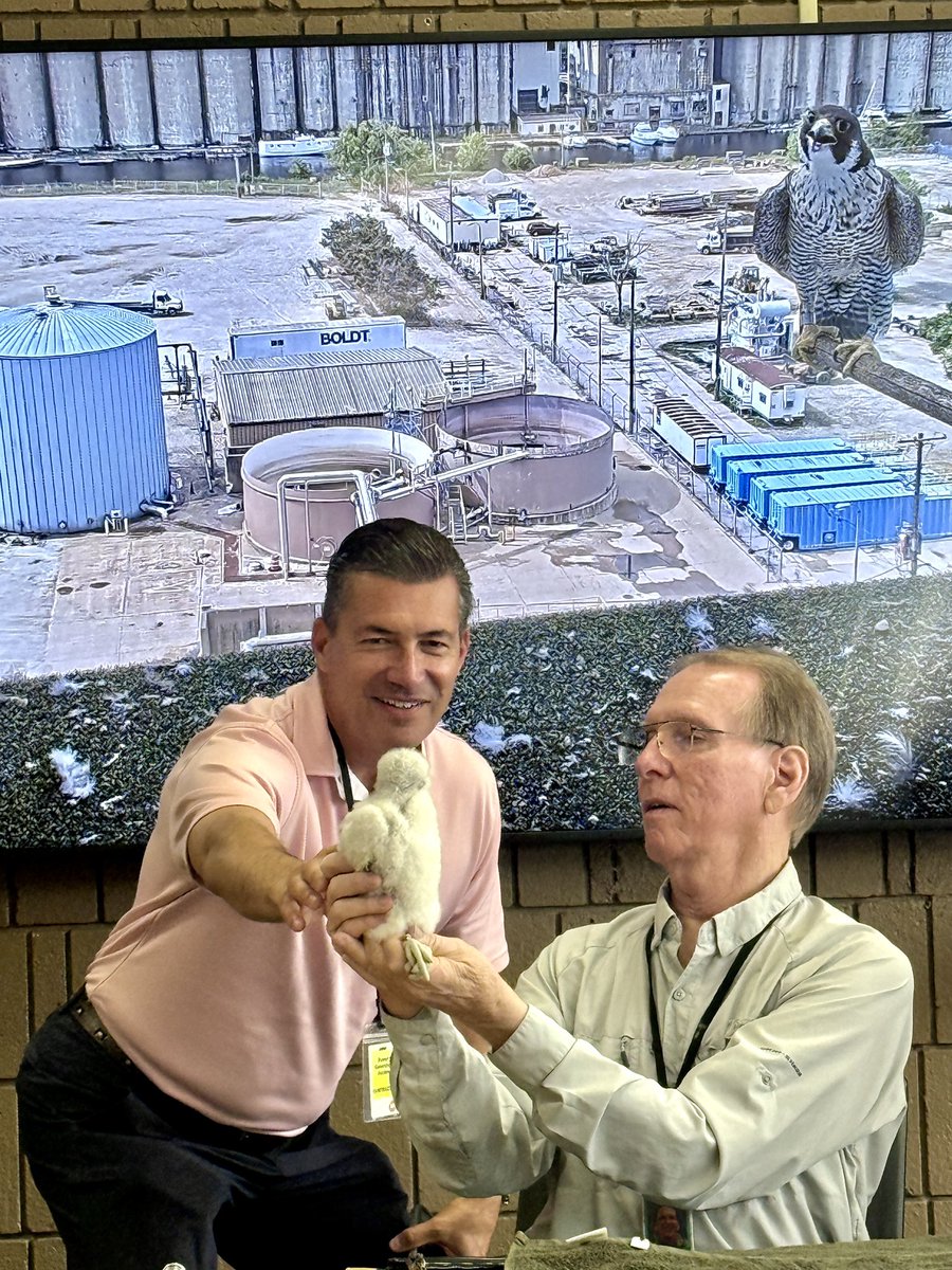 lanceallan's tweet photo. Big thanks to @we_energies today.  I got to meet “Lance Talon” today.  The peregrine falcon is more handsome and squawks less than his namesake.  Big thanks to Greg, Mike, Alison, Brendan and Amy for making this possible and helping this endangered species! https://t.co/HAz8jP9yy6