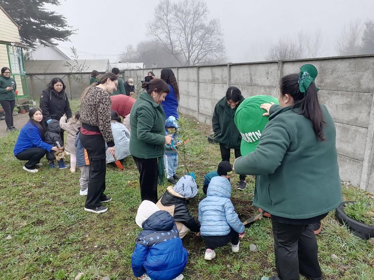 conaf_loslagos's tweet photo. Equipo de Prevención de Incendios Forestales de Conaf Osorno junto a Forestin y @muni_osorno celebraron Día del Medio Ambiente, con niñas/os del Jardín Infantil Principito, plantando especies nativas @conaf_minagri https://t.co/Zp8dd7O38i