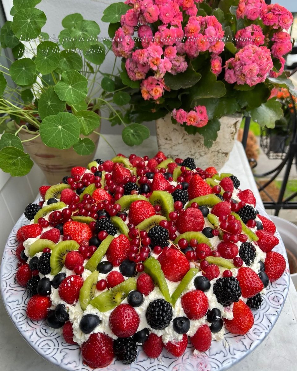 GregDogCO's tweet photo. @ellinidata Happy Monday! ☀️

Here’s a pavlova. https://t.co/gSpKGCq0t1