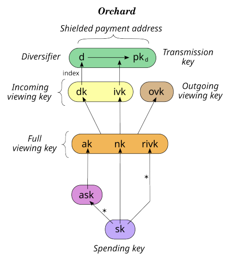 _pERC20's tweet photo. Privacy101 — How Private Money Works？

Privacy is becoming foundational infrastructure for blockchains. More projects are looking at the @Zcash protocol — still the strongest privacy design we have — as their reference. But the spec is dense. This series walks through it from §3.1, focusing on Orchard.
---

Chapter 1 — Orchard key components (§3.1 in https://t.co/0HXOVpApn6)

1 . Spending key (sk)
The root private key. Ultimate control over the account — backup this to recover everything.

2. ask / ak (spend authorizing key / validating key)
Derived from sk. ask is re-randomized into a one-time key pair (rsk, rk) used solely for each spendAuthSig.

Core purpose: a delegated prover may need private data (e.g. ak, nk) to build the proof — enough to view incoming notes — but cannot spend the user's notes without ask, which only the user holds to derive rsk and sign.

3. Full viewing key (ak, nk, rivk)
Derived from sk. From it you can derive the keys to view incoming and outgoing shielded activity. Does not let you spend.

nk (nullifier deriving key)
Computed from nk and the note contents — one note, one nf, spend once. Zcash's June 2026 Orchard attack broke exactly this rule: https://t.co/os9tRrpSlc

rivk
Derived from sk. Commit_ivk randomness — used with (ak, nk) to derive ivk, dk, and ovk.

4. Incoming viewing key (dk, ivk)
Decrypts incoming note ciphertexts.

5. Outgoing viewing key (ovk)
Decrypts outgoing payment details — what you sent, to whom, how much. Useful for compliance and audit: view your own sends without spend authority.

6. Shielded payment address (d, pkd)
What you share to receive funds. Users can generate many unlinkable shielded addresses to improve anonymity, while reusing the same viewing keys to scan and decrypt them all.

👉Next: How does the IVK work?