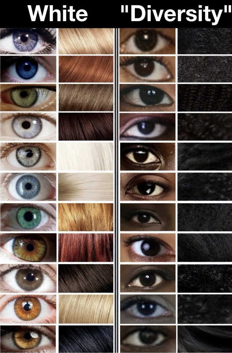 First_Won_'s tweet photo. @Aku_700 Whites are the first and last example of diversity. https://t.co/sxBMfEzMN4
