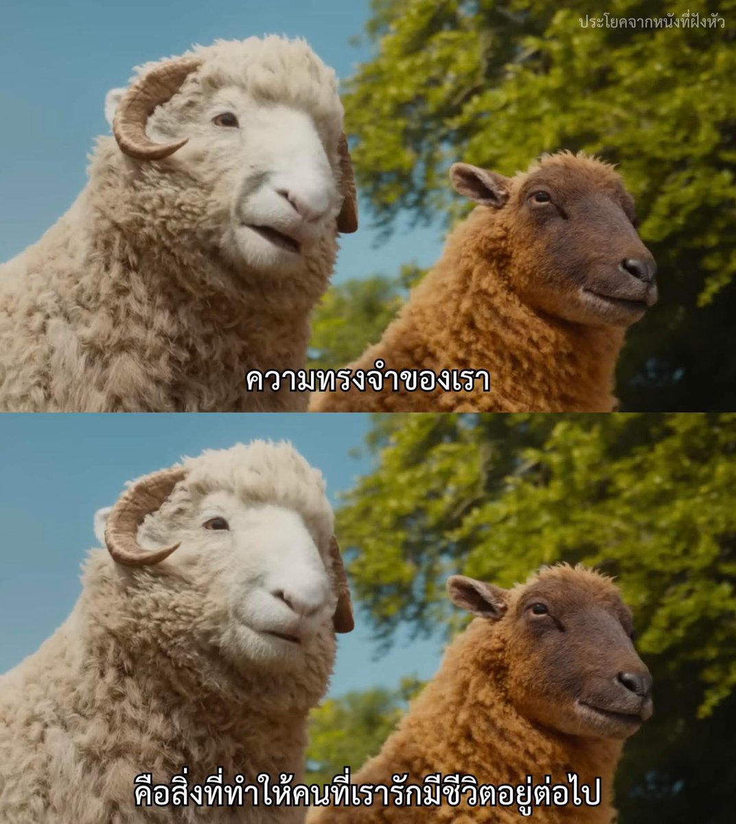 MVDeepQuotes's tweet photo. เราจะจากไปอย่างแท้จริง เมื่อไม่มีใครจดจำเขาได้อีกแล้ว  ￼
.
.
.
เรื่อง The Sheep Detectives https://t.co/UGU8rhPvZr