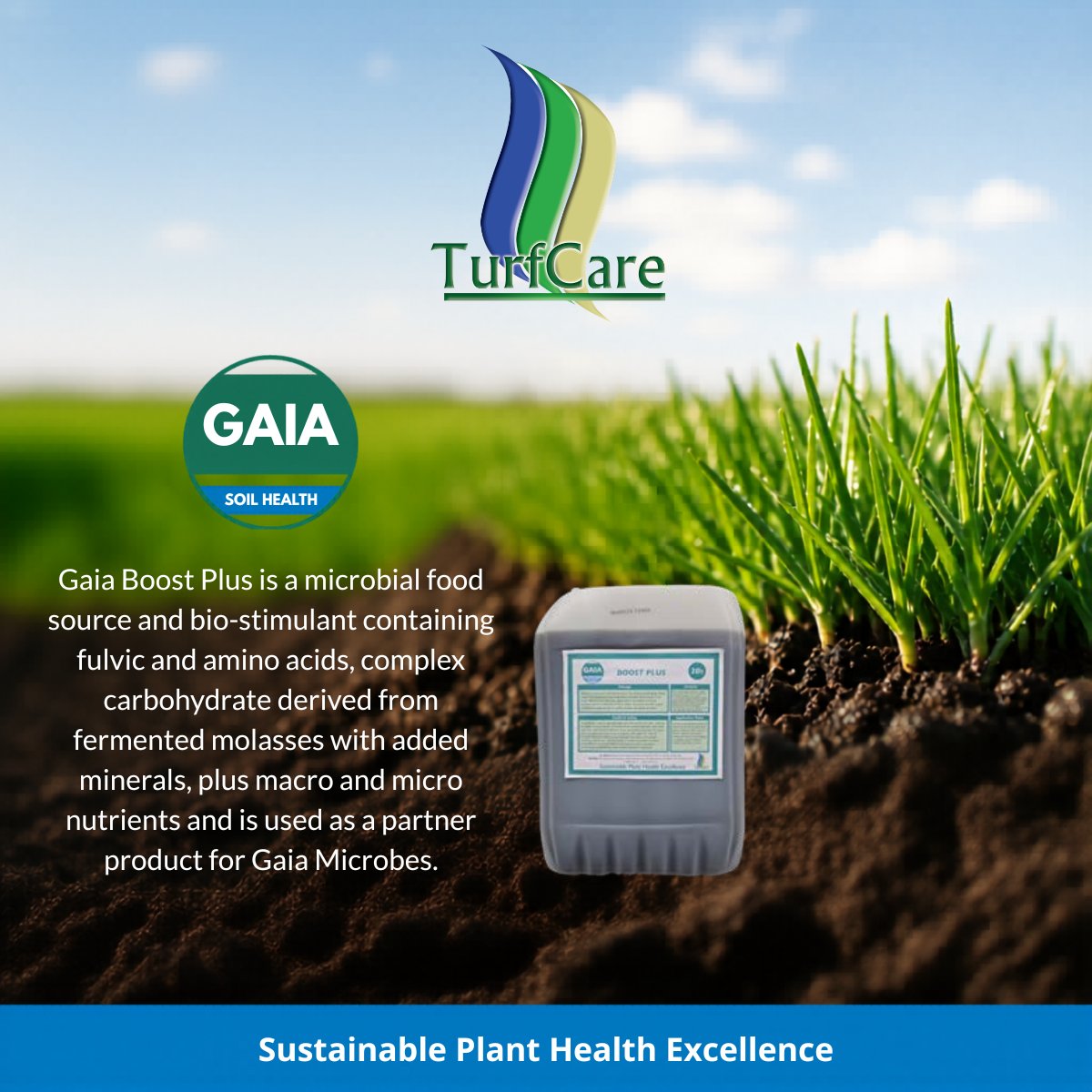 TurfCare_IRL_UK's tweet photo. Gaia Boost Plus delivers fulvic acids, amino acids, and complex carbohydrates straight to your soil microbes - giving them the fuel to establish, multiply, and perform.
Better breakdown, healthier turf.

#SoilBiology #TurfCare3PA #SustainablePlantHealthExcellence https://t.co/NVpbcjbkxr