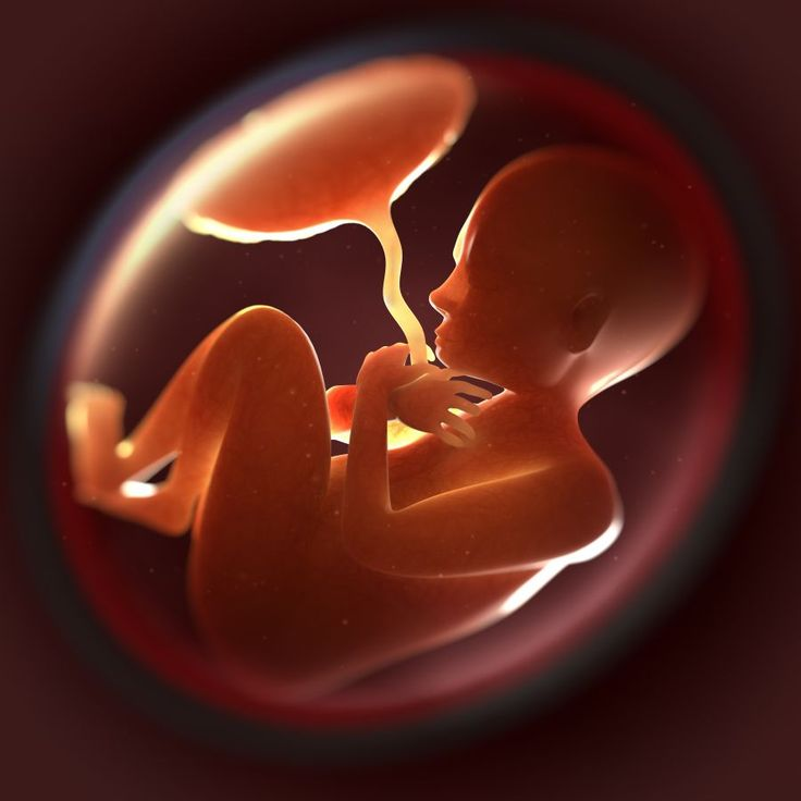 republiqueBRA's tweet photo. 👶🏻 ✝️ Papa Leão XIV CONDENA o aborto em discurso a parlamentares da Espanha e pede a defesa da vida humana "desde sua concepção", em meio às tentativas do governo do premiê Pedro Sánchez de incluir o direito ao aborto na Constituição. https://t.co/8NP4BsOXD2