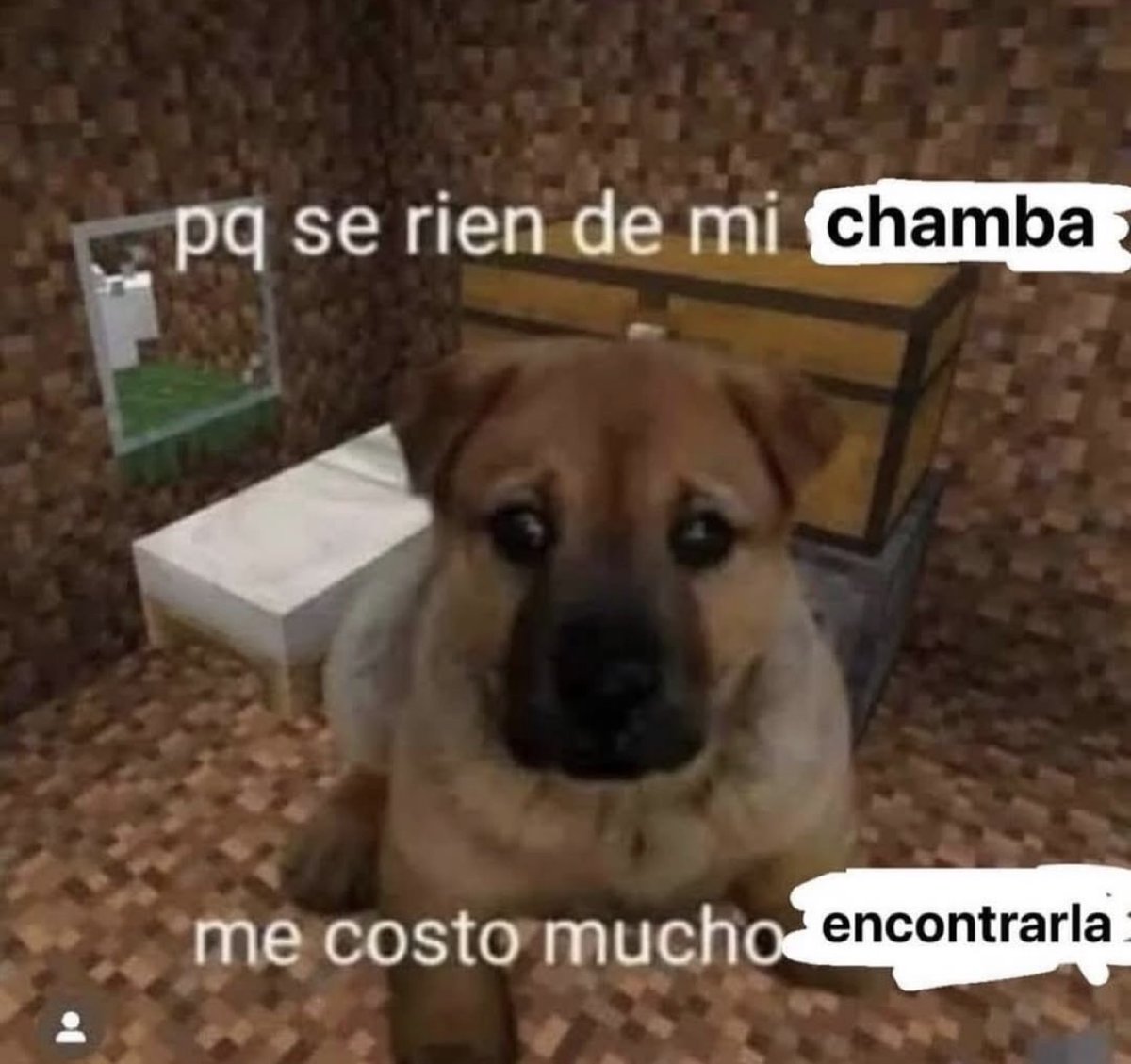 MundoDeBigotes's tweet photo. https://t.co/1cg8uX7AVt