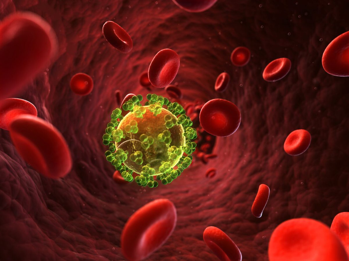 NightSkyToday's tweet photo. 🚨: Scientists have managed to to Eliminate HIV from Cells. https://t.co/yIu8sp5u2g