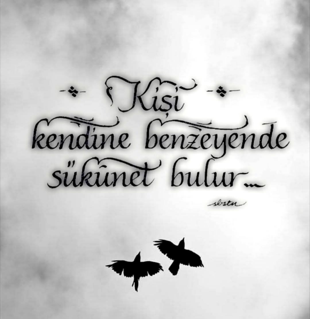 dreminsert's tweet photo. #SukuNet #Huzur #Benzeyİş https://t.co/Zbtp2v6bpR